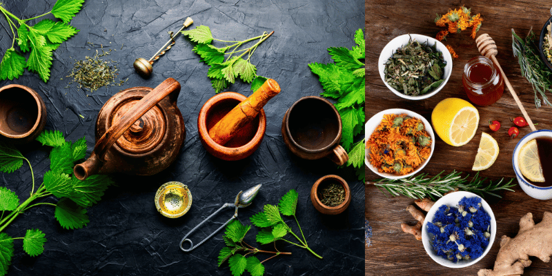 Wellhealth Ayurvedic Health Tips: Your Guide for Modern Life