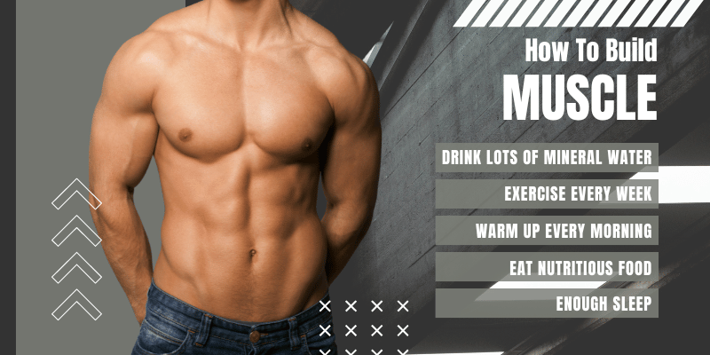 Build Muscle the Wellhealth Way: Your Practical Guide to Gains