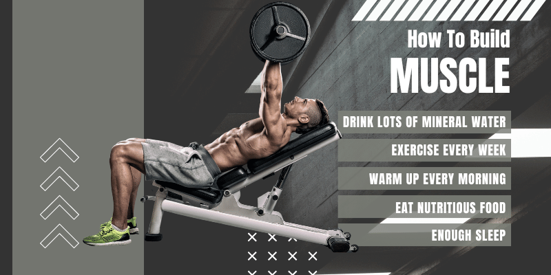 Build Muscle the Wellhealth Way: Your Practical Guide to Gains
